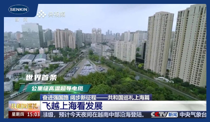 奔腾前行 “新新”向荣——2024线缆行业年度新闻特写