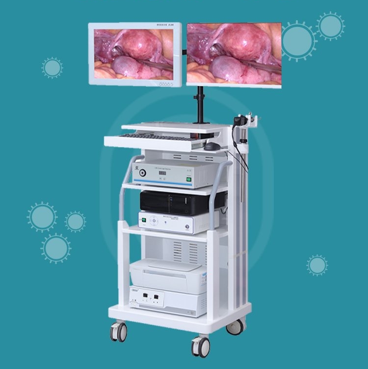 u=3782356476,150882104&fm=199&app=68&f=JPEG